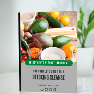 [Adjustments Without Judgement] Complete Guide To A Detoxing Cleanse