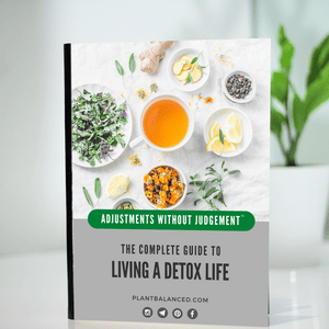 [Adjustments Without Judgement] Complete Guide To Living A Detox Life